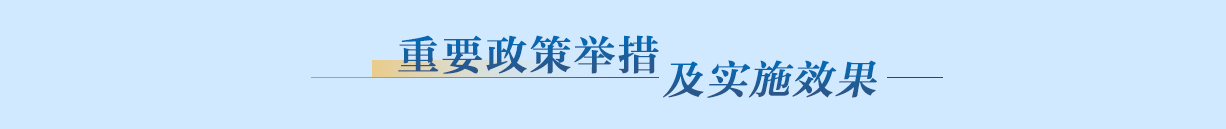 重要政策舉措及實施效果